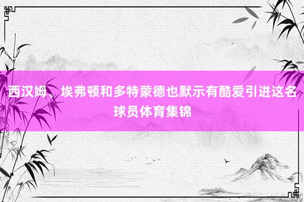 西汉姆、埃弗顿和多特蒙德也默示有酷爱引进这名球员体育集锦