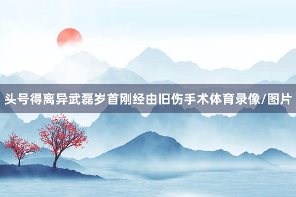 头号得离异武磊岁首刚经由旧伤手术体育录像/图片