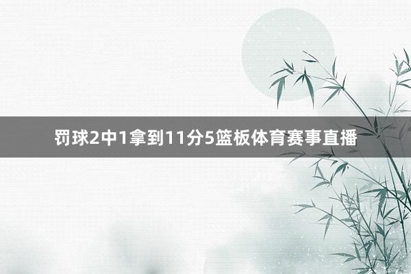 罚球2中1拿到11分5篮板体育赛事直播