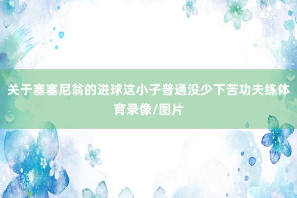 关于塞塞尼翁的进球这小子普通没少下苦功夫练体育录像/图片