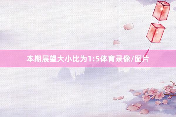 本期展望大小比为1:5体育录像/图片