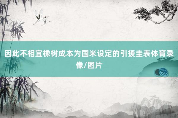 因此不相宜橡树成本为国米设定的引援圭表体育录像/图片