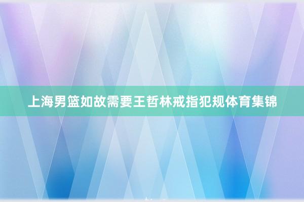 上海男篮如故需要王哲林戒指犯规体育集锦