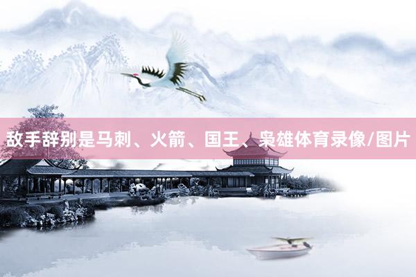 敌手辞别是马刺、火箭、国王、枭雄体育录像/图片