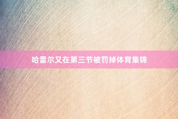 哈雷尔又在第三节被罚掉体育集锦
