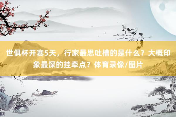 世俱杯开赛5天,行家最思吐槽的是什么?大概印象最深的挂牵点?体育录像/图片