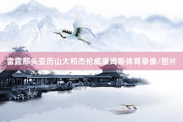 雷霆那头亚历山大和杰伦威廉姆斯体育录像/图片