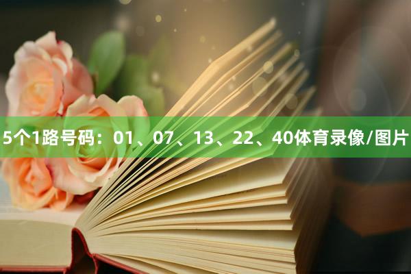 5个1路号码：01、07、13、22、40体育录像/图片