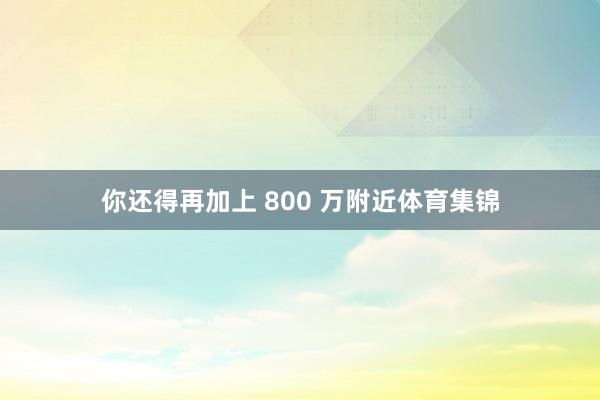 你还得再加上 800 万附近体育集锦