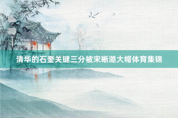 清华的石奎关键三分被宋晰澔大帽体育集锦