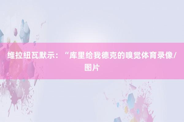 维拉纽瓦默示：“库里给我德克的嗅觉体育录像/图片