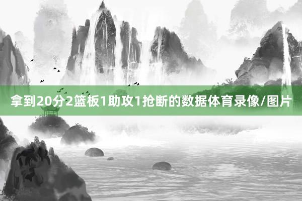 拿到20分2篮板1助攻1抢断的数据体育录像/图片