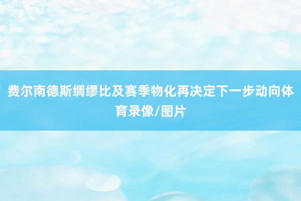 费尔南德斯绸缪比及赛季物化再决定下一步动向体育录像/图片