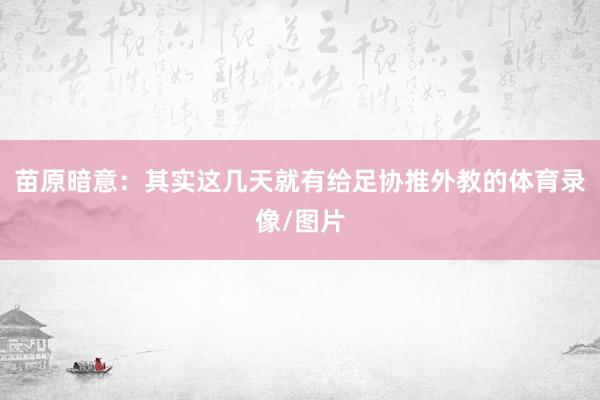 苗原暗意:其实这几天就有给足协推外教的体育录像/图片