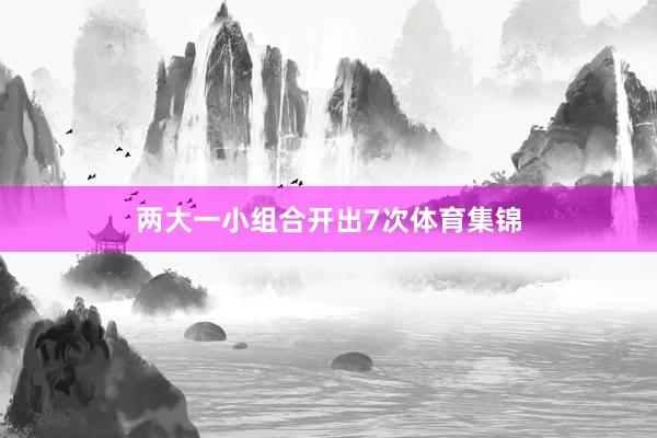 两大一小组合开出7次体育集锦