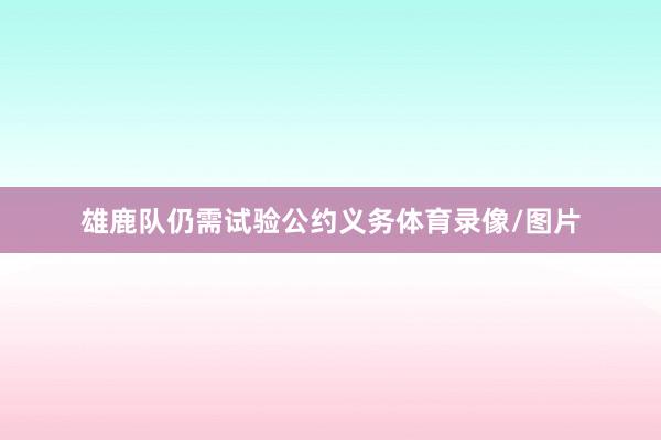 雄鹿队仍需试验公约义务体育录像/图片