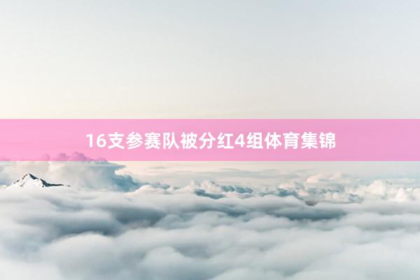 16支参赛队被分红4组体育集锦