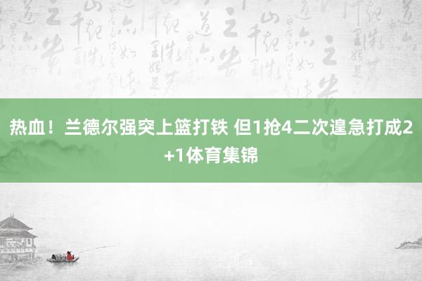 热血！兰德尔强突上篮打铁 但1抢4二次遑急打成2+1体育集锦